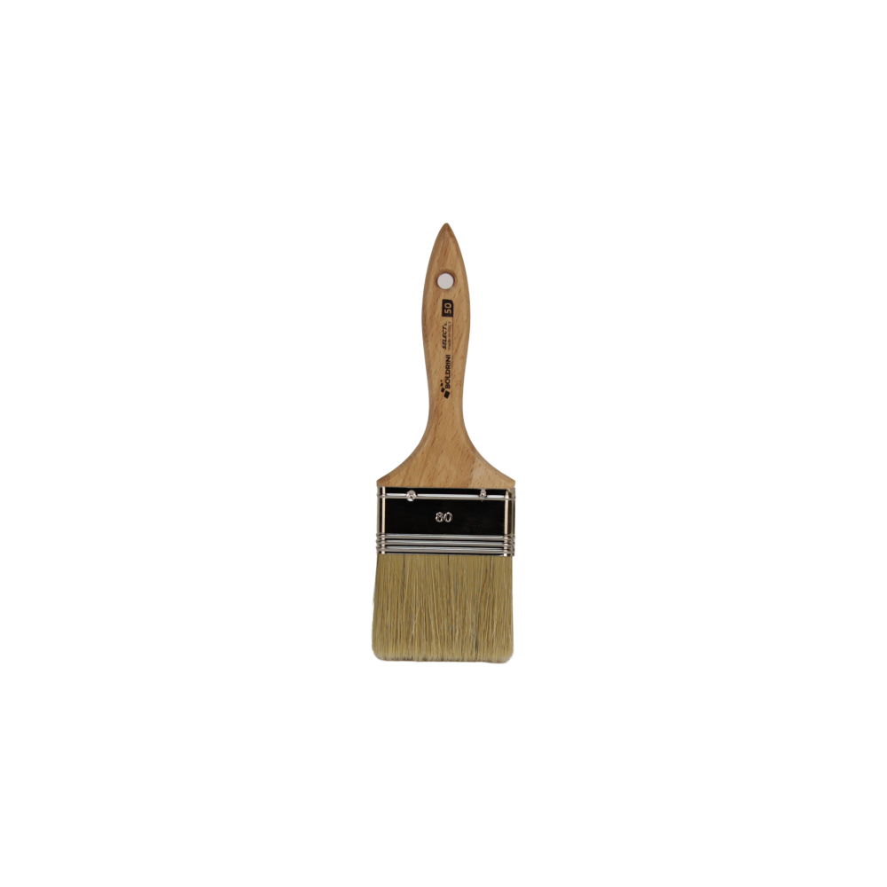 Pennello professionale Boldrini Expert 50